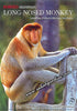 Long-nosed Monkey Postcard