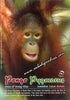 Pongo Pygmeaus Orang Utan Postcard