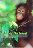 Man of the Forest Orang Utan Postcard