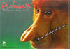 The Big Nosed Monkey in Borneo Postcard